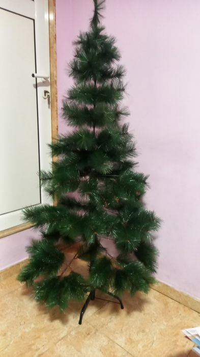 Елхичка - 150см.