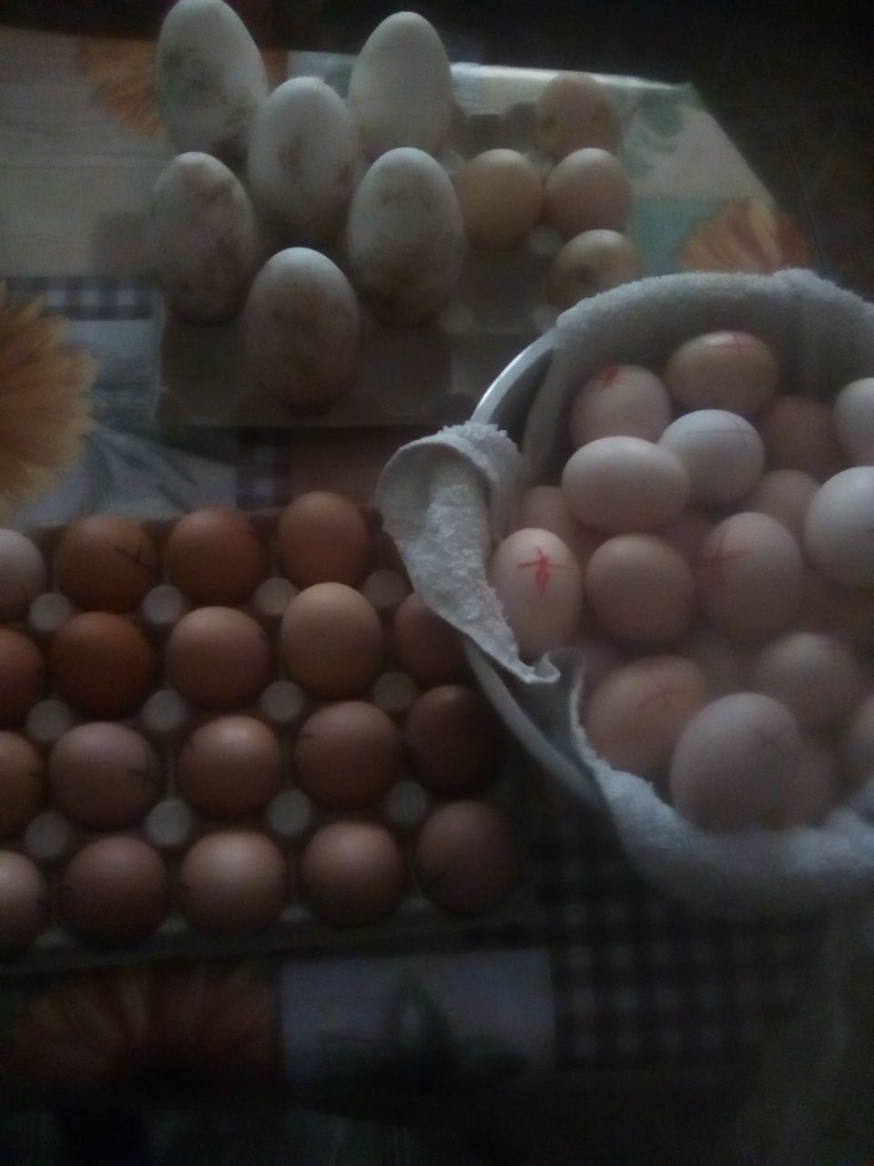 Vând ouă pentru incubator de la diferite păsări.