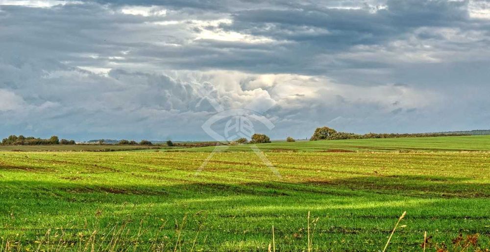 Парцел в село Маринка 95340