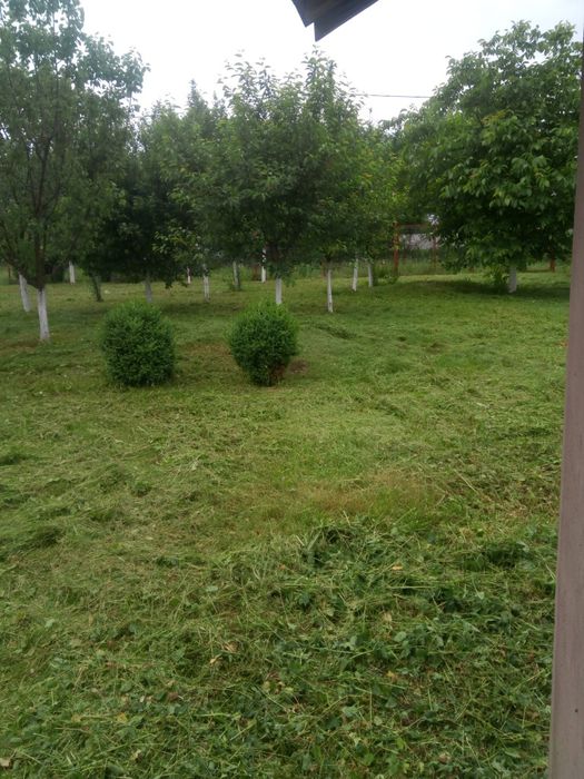 Teren de vânzare Valea Stanii, Comuna Luica