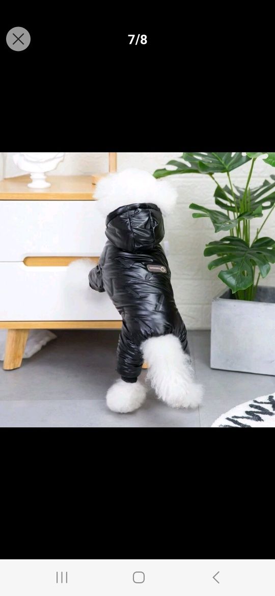Кучешко яке за зимата и дъждобран
