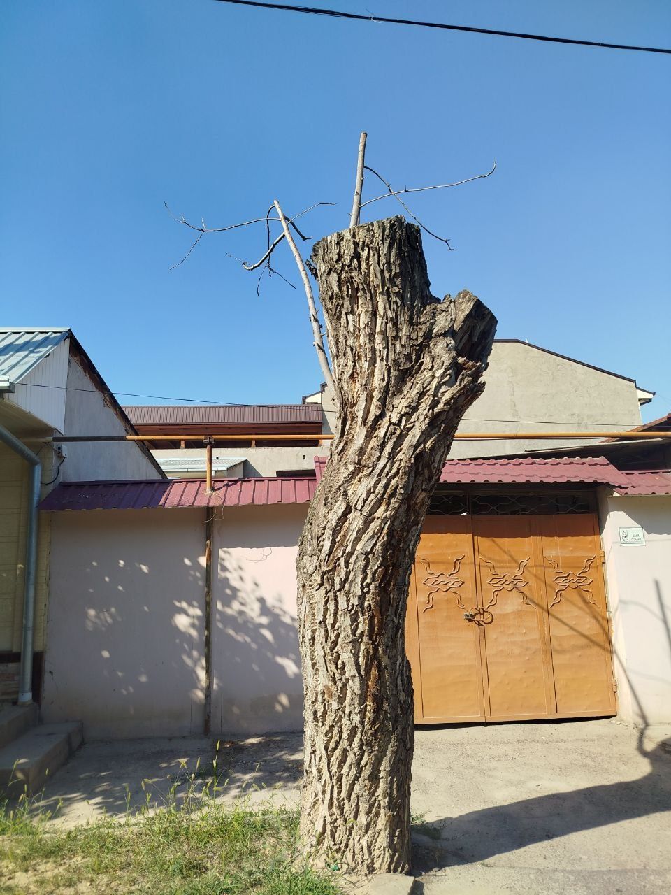 Продается дерево
