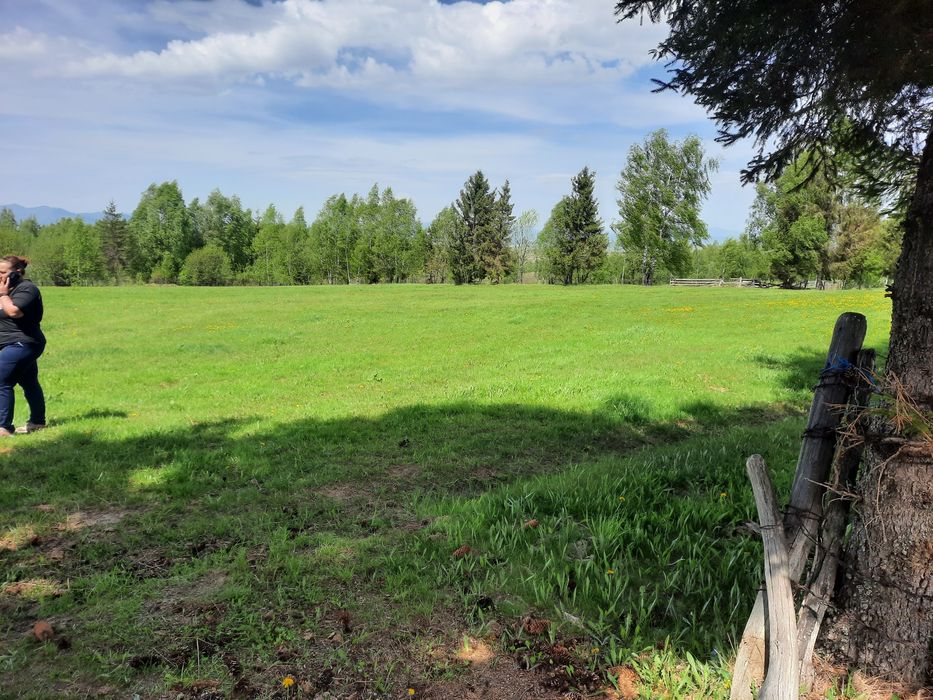 Vand teren extravilan Dealu Negru