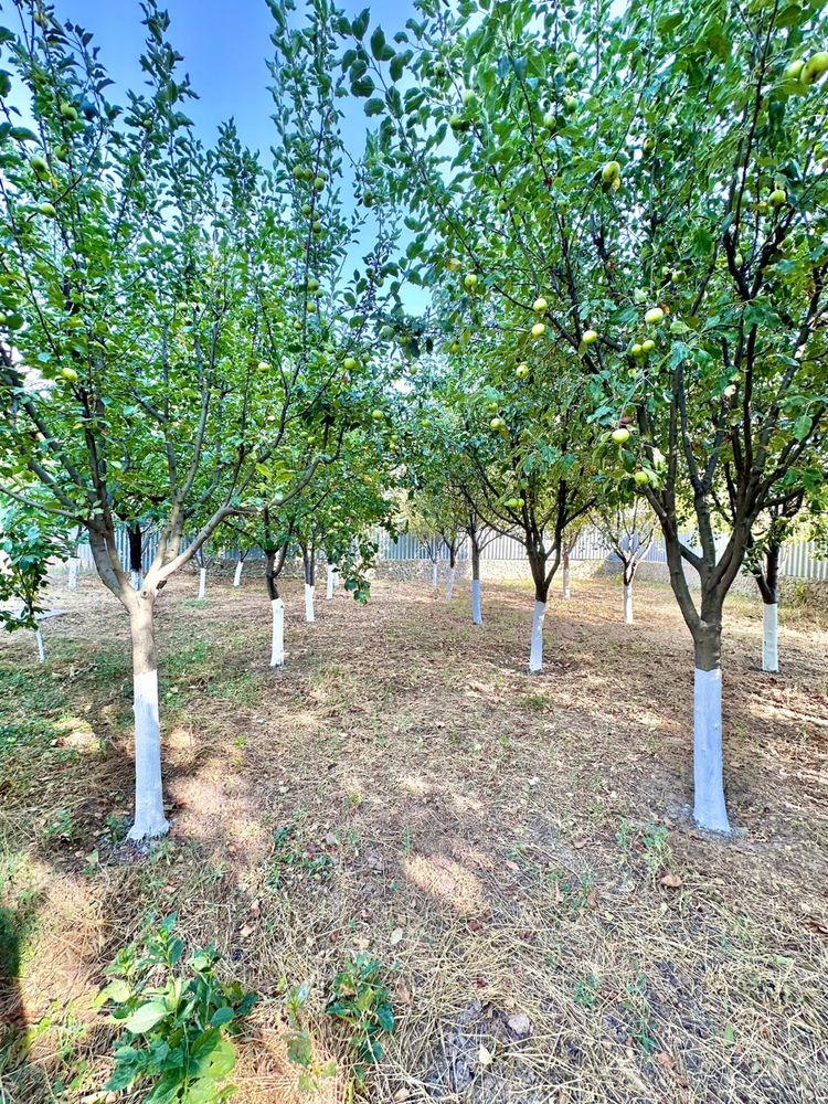 Продается дом в Турар Рыскулова