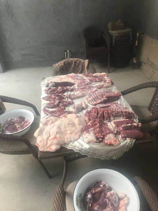Qassob servis aqiqa va marosimlar uchun qoylar