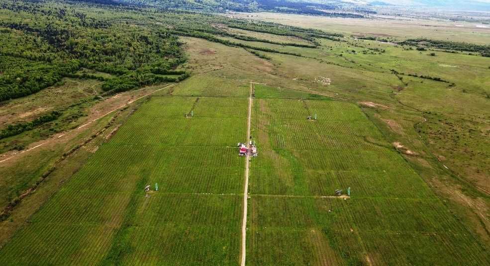 Parteneriat în Agricultură –
Profit 50%/an