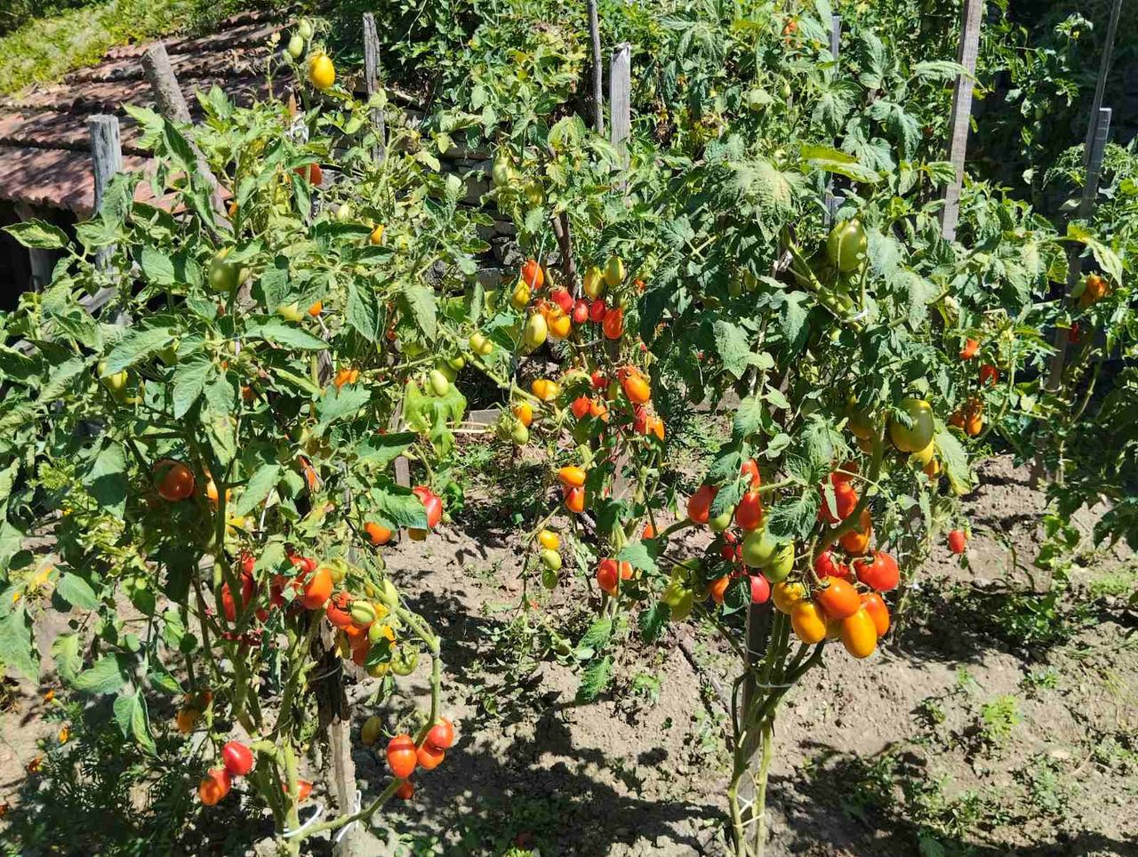 Продава се Къща в Трявна - 65 кв.м за 392 €/кв.м - Снимка #1
