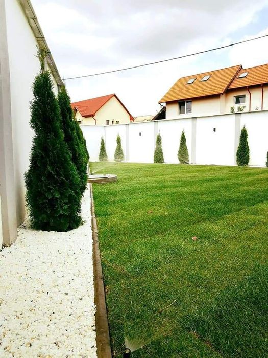 Gazon rulou extra calitate