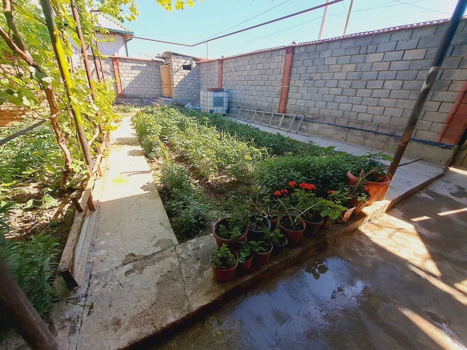 Hovli uy zudlik bilan sotiladi