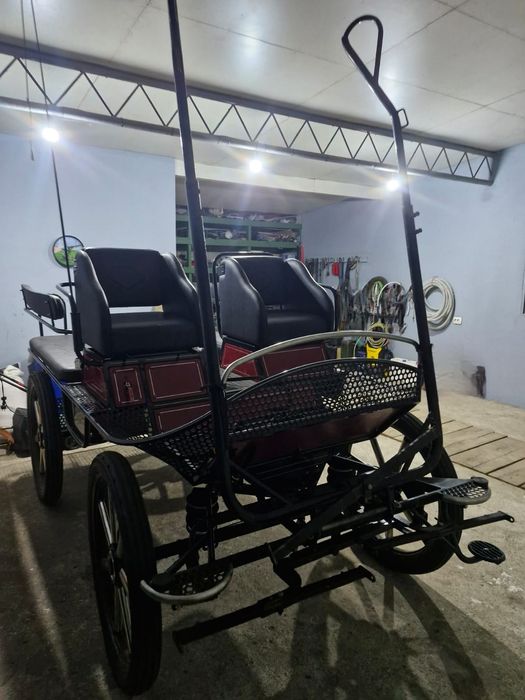 Vând maraton / trasură