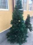 Арча  комкок жуда зор