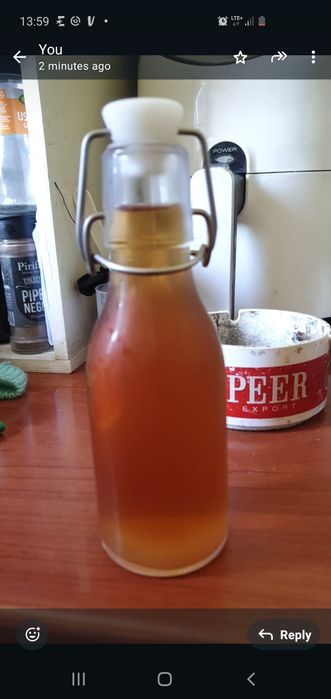 Ciuperca Kombucha Scoby miraculoasa
