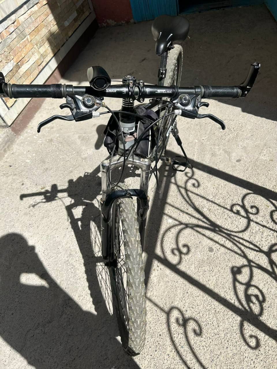 Velik sotiladi 24 razmer