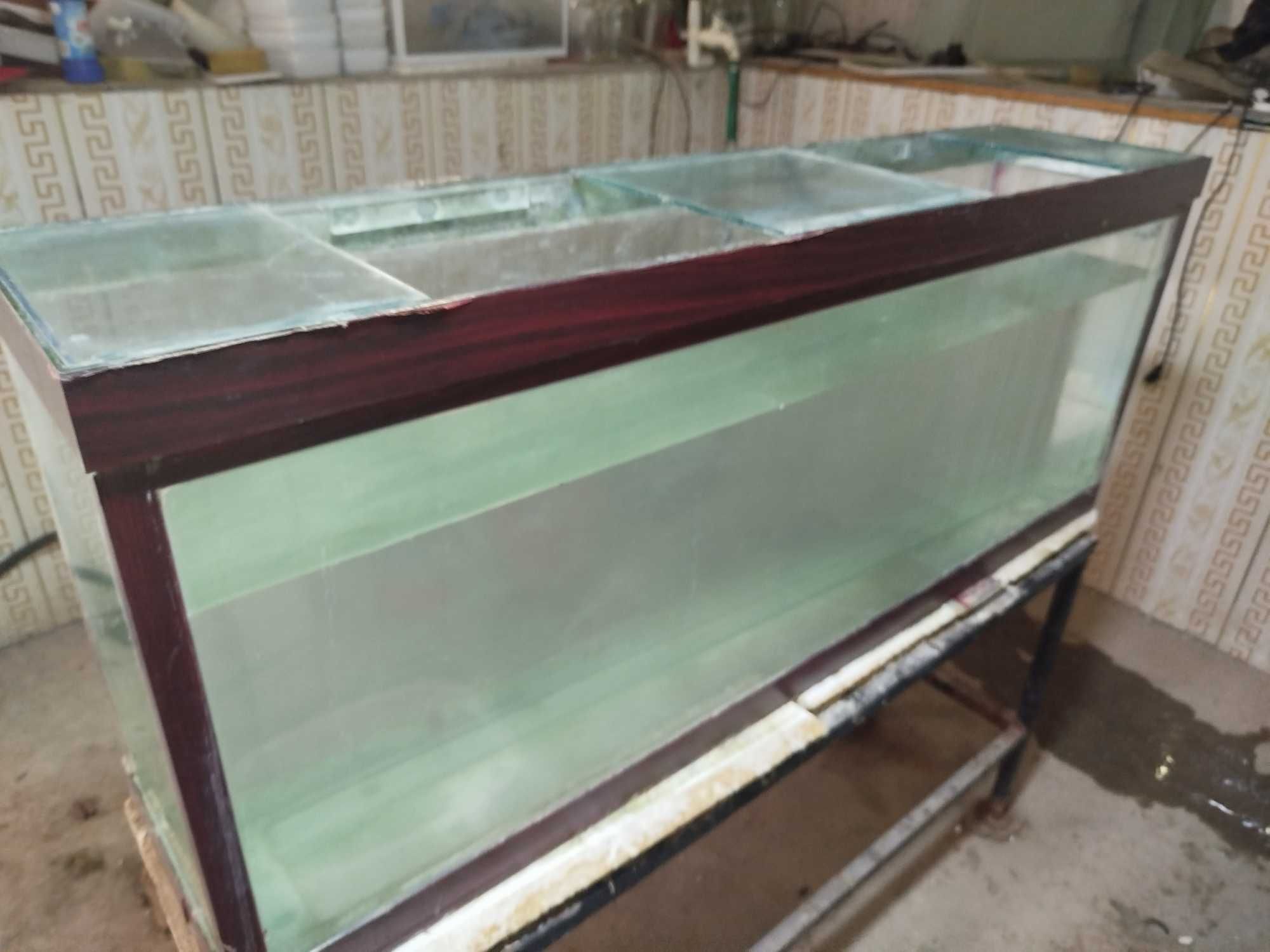 Akvarium sotiladi