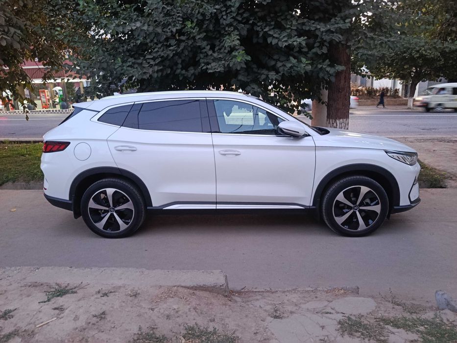 BYD song plus DM-I champion