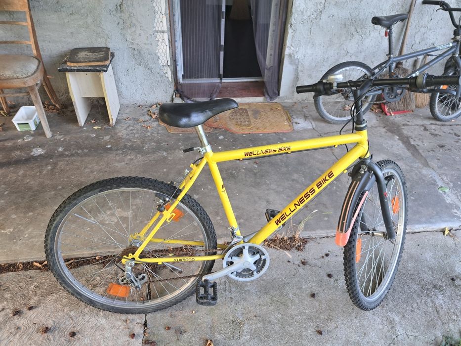 Bicicleta wellness bike