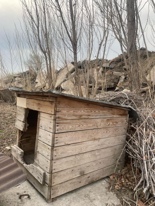 Продам  собачие бутки