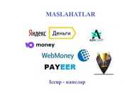 Профессионал маслахатлар Webmoney, Профессиональная консультация