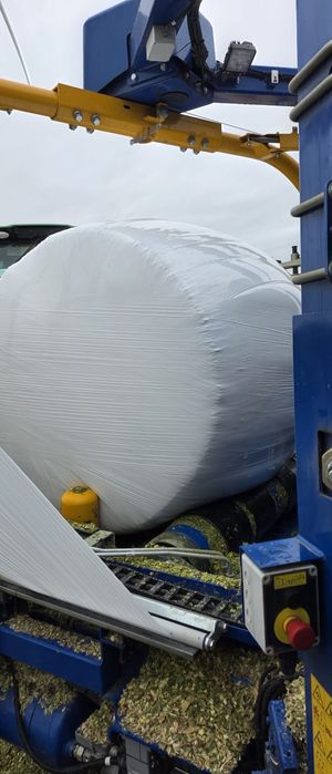 Baloti porumb siloz 2025