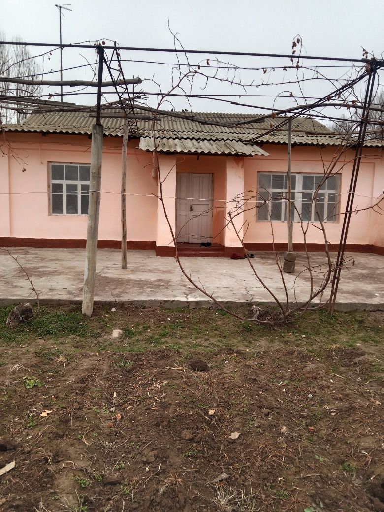 Maktab baqsha magazin wi-fi bor