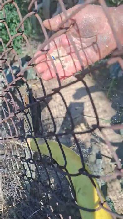 Почистване на нови и стари сондажи с еърлифт