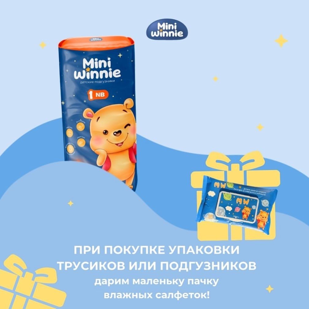 MiniWinnie NB (1) размер