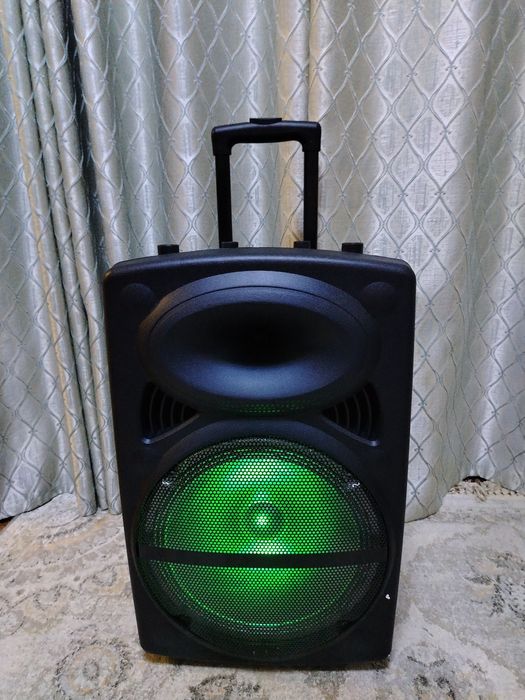 Музыкальная колонка с беспроводным микрофоном