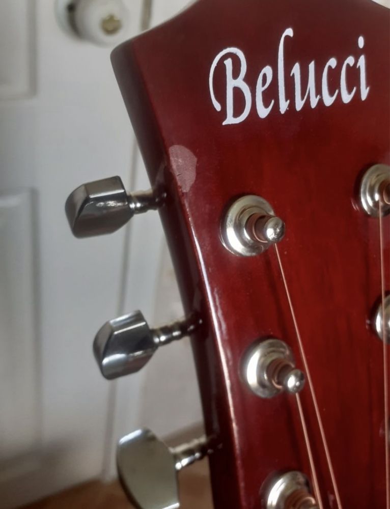 Гитара Belucci BC4040 с раскрасом devil