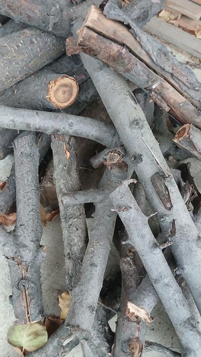 Дрова, обрезки плодовых деревьев