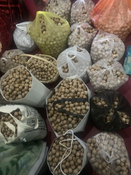 Грецкие орехи тонкокорые домашние.