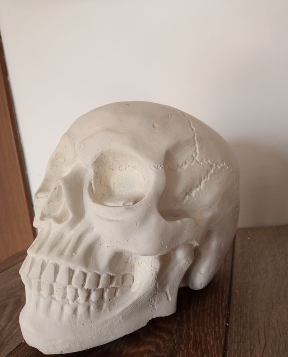Бетонни черепи за рисуване или декориране