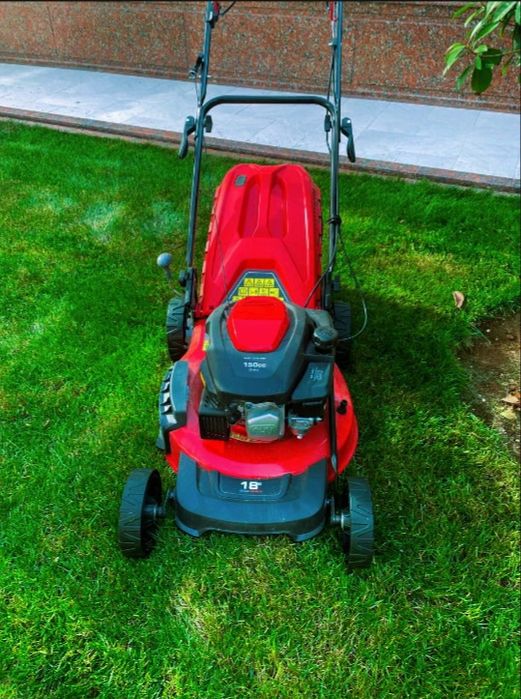 Gazon oramiz dorilash