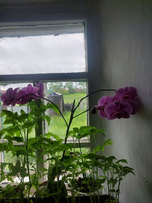 Срочно продается дом!