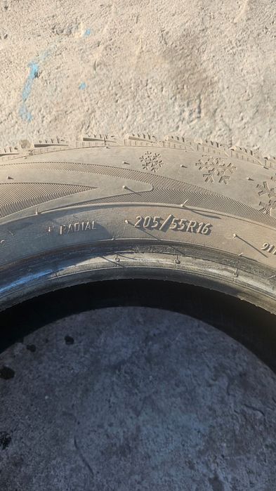 продам зимние ризины