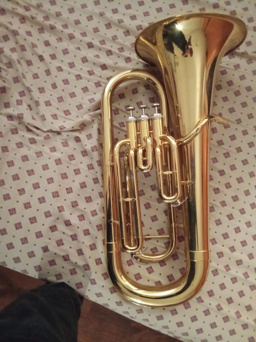 Instrument eufoniu