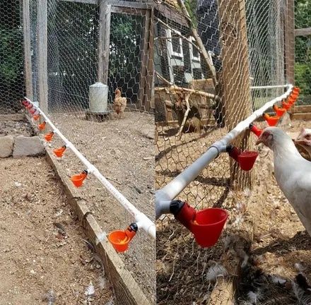 Автоматични поилки с  чашки за кокошки и други птици + гайки