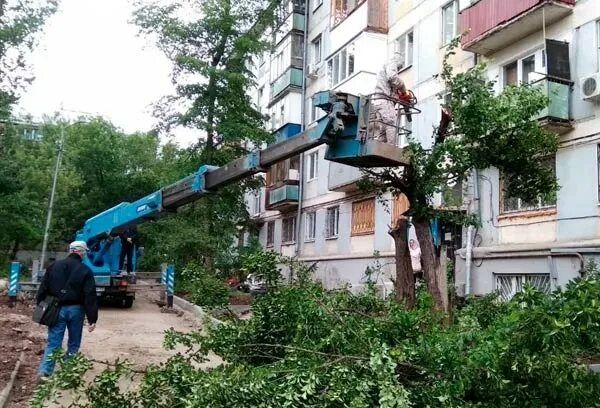 Спил деревьев обрезка веток