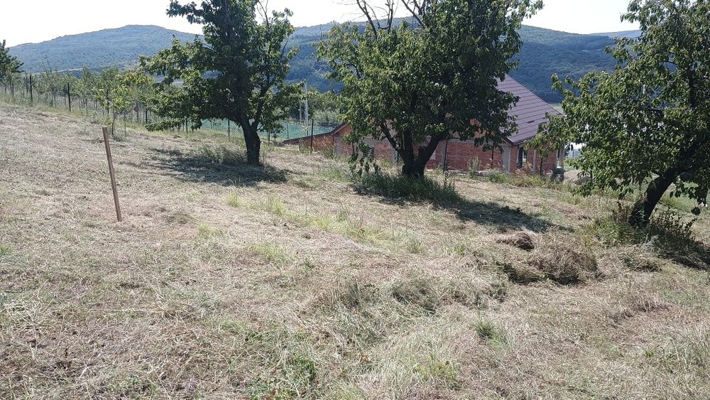 Teren intravilan 2950mp