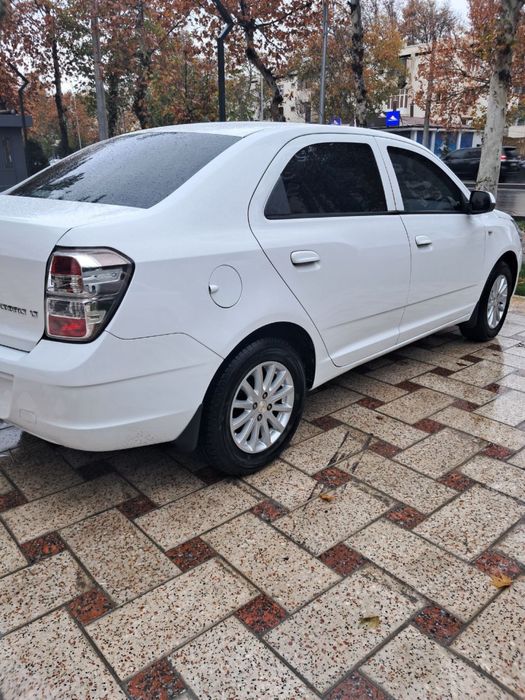 Pazitsiya 2 yili 2018