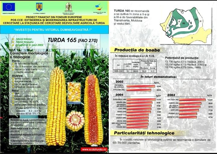 Sămânța Porumb Certificat recolta 2023