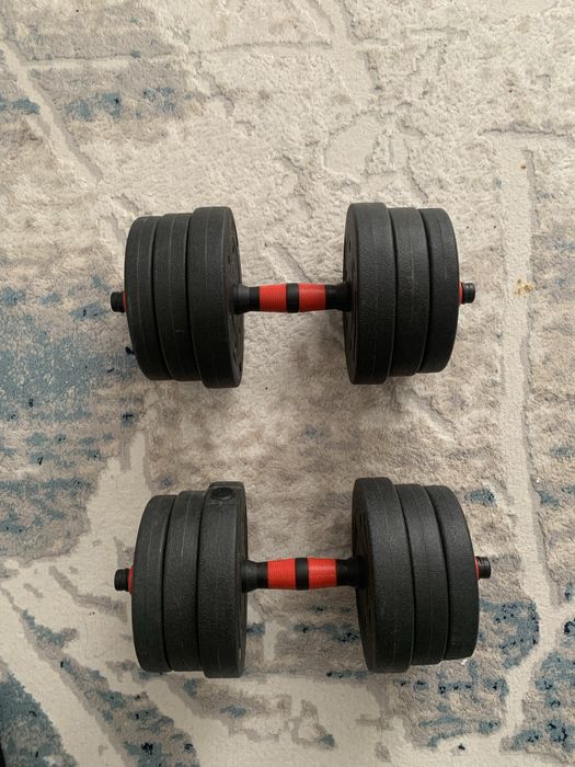 Продам Гантели каждая по 10 кг