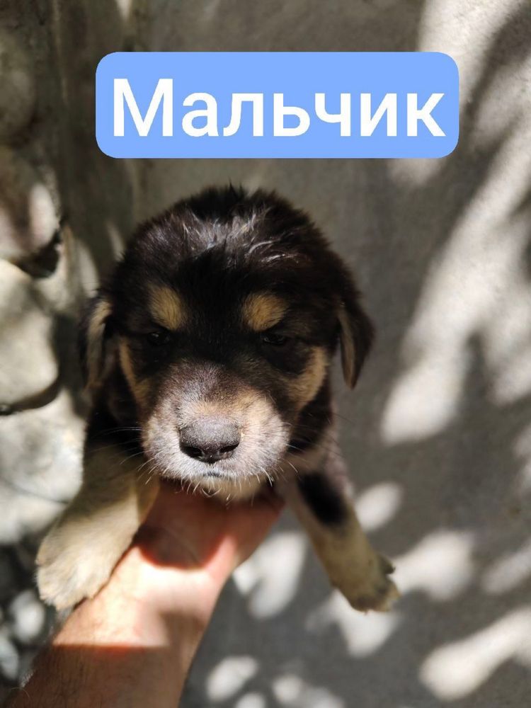 Малыши в ответственные руки!