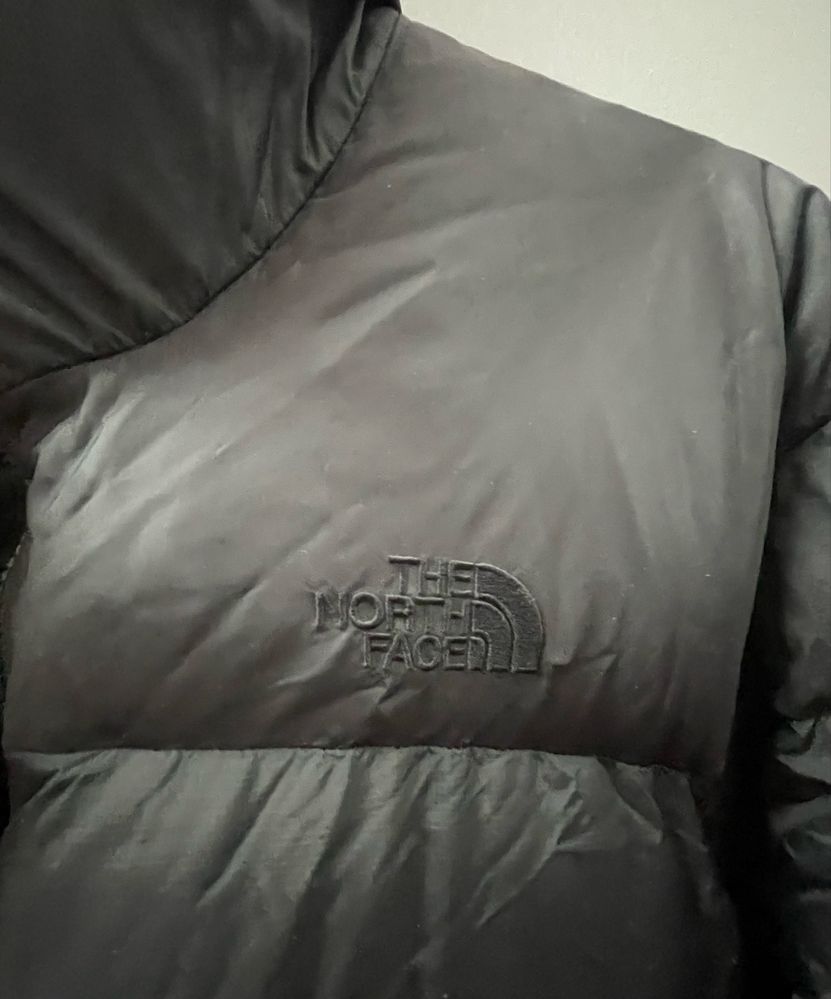 Мъжко зимно яке THE NORTH FACE