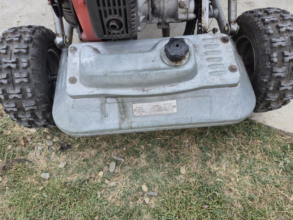 Buggy de vânzare