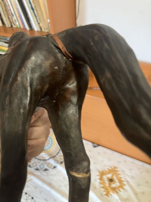 Папие маше , Коне от кожа .