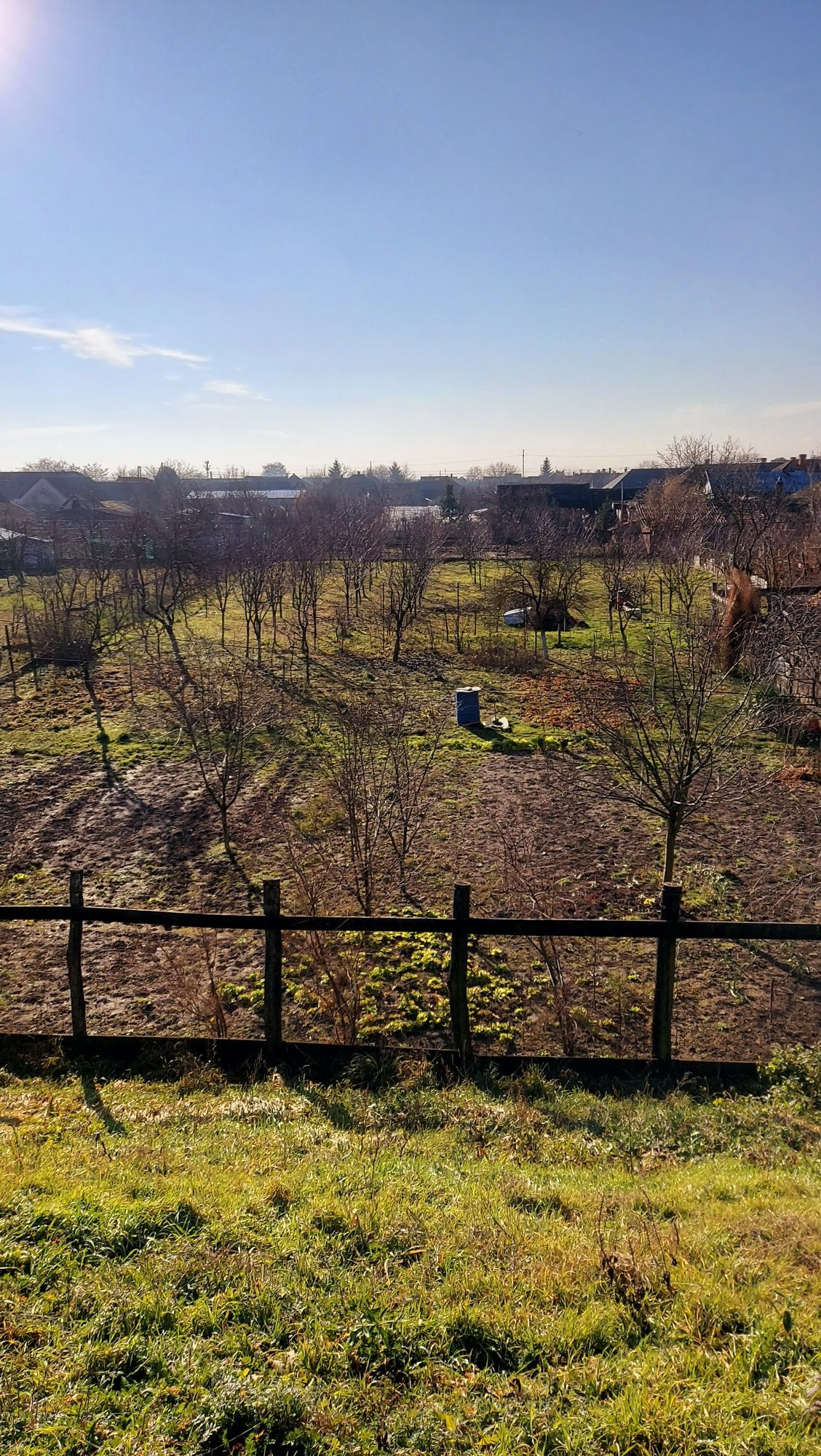 Vând 2 case in Chișineu Criș (schimb cu casă în Arad)