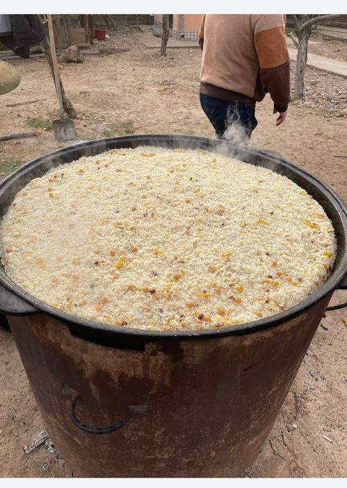 Повар на выезд повар на дому повар с ночёвкой плов шашлык димлама рыба