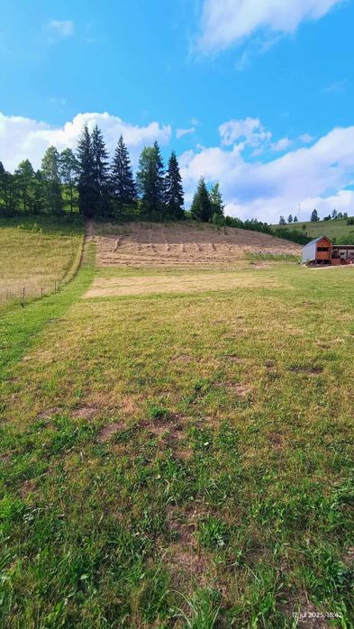 Teren de vanzare in Bucovina Breaza zona Paraul Negrei