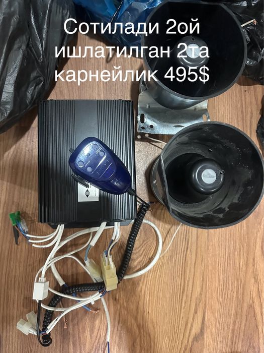 Элина смерч СГУ иккита карнейлик