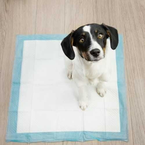 Еднократни хигиенни подложки за кучета 50/100 бр, памперси, 60х60 см
